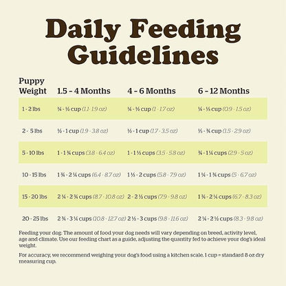 Now Fresh Grain Free Small Breed Dog Food, 3.5 lb - Dry Puppy Food Recipe - Healthy Diet with Probiotics & Real Meat and Fish for Protein