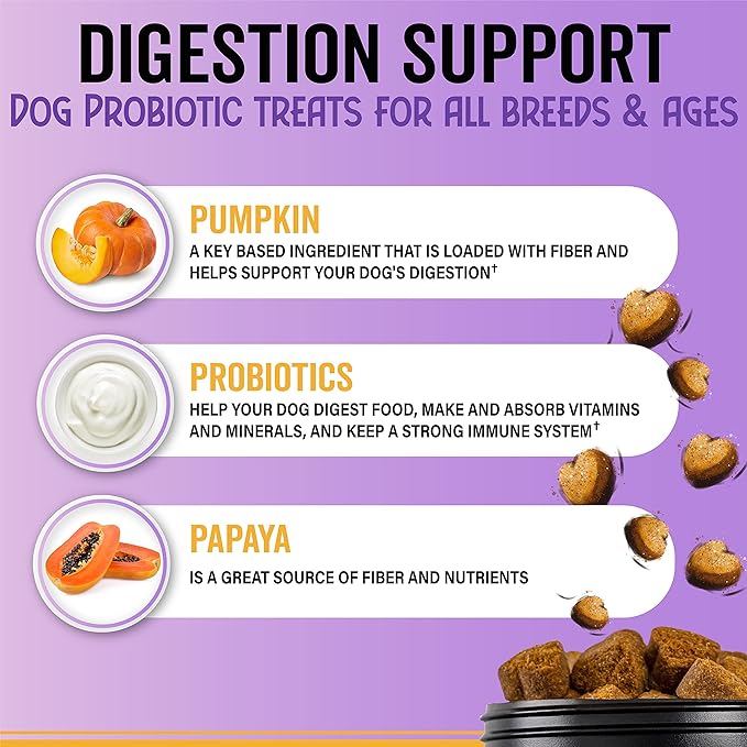 Probiotic Chews for Dogs - Soft Chews with Pumpkin, Papaya and Dog Probiotics for Gut Health Support - Support Digestion and Immunity - 180 Probiotic Chews for Dog Digestive Support