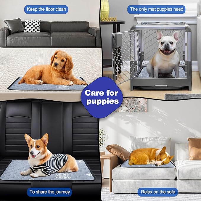 6 Pack Upgrade Washable Pee Pads for Dogs, Reusable Dog Pee Pads and Small Pets, Absorbent and Non-Slip Puppy Pads, Pet Training Pads, Waterproof Whelping Pads 14x20 inchs Potty Mat