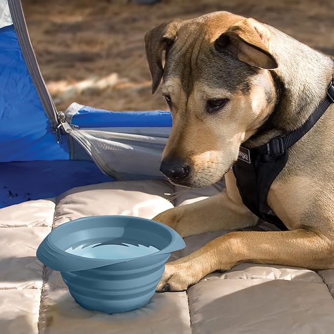 Kurgo Collaps-A-Bowl for Dogs, Collapsible Travel Dog Bowl, Pet Food & Hiking Water Bowl, Food Grade Bowl for Dogs, Travel Accessories for Pets, includes Carabiner (24 oz, Blue)