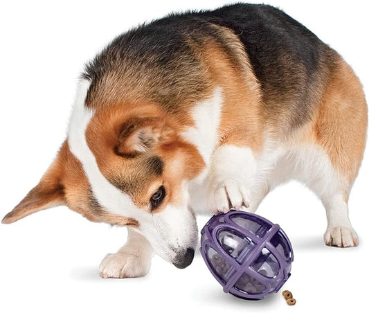 PetSafe Busy Buddy Kibble Nibble - Dog Toy - Treat and Food Dispenser - Slow feeder - Small
