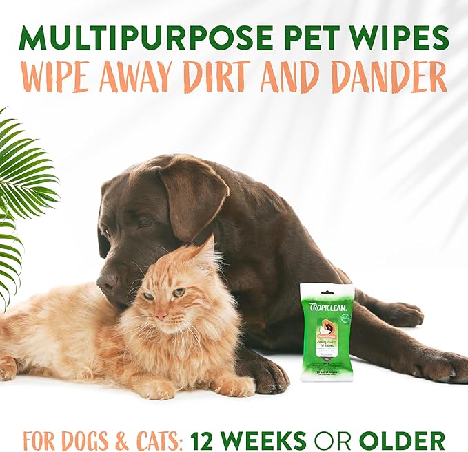 TropiClean Papaya & Coconut Dog Wipes for Paws and Butt | Deep Cleaning Dog Grooming Wipes | Safe for The Face | Cat Friendly | 20 Count