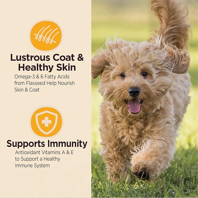 Wellness CORE Digestive Health Dry Puppy Food with Wholesome Grains, Highly Digestible, for Dogs with Sensitive Stomachs, Made in USA with Real Chicken (Puppy, 24-Pound Bag) (Packaging may vary)