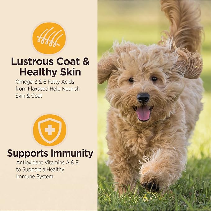 Wellness CORE Digestive Health Dry Puppy Food with Wholesome Grains, Highly Digestible, for Dogs with Sensitive Stomachs, Made in USA with Real Chicken (Puppy Under 1 Year, 4-Pound Bag)