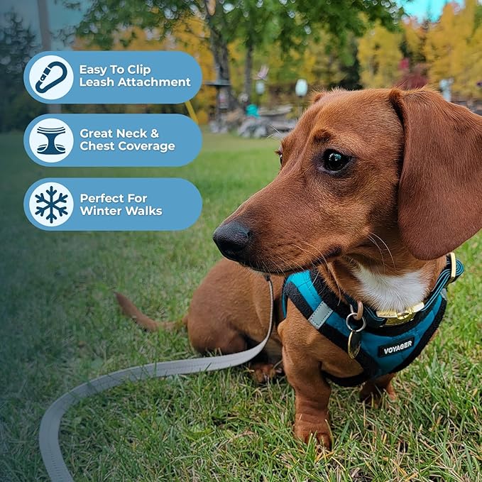 Voyager Step-In Plush Dog Harness – Soft Plush, Step In Vest Harness for Small and Medium Dogs by Best Pet Supplies - Harness (Turquoise Plush), XS (Chest: 13 - 14.5")
