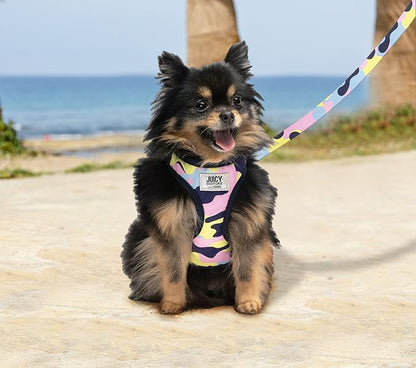 Juicy Couture Colorful Camo Dog Harness and Leash Set – Adjustable Puppy Harness with Puppy Leash & Mesh Padding Dog Harness, Small