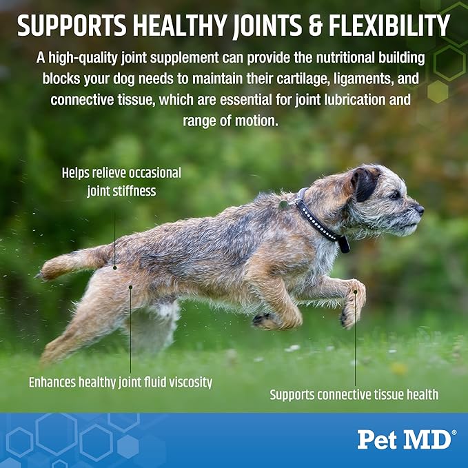 Pet MD Glucosamine for Dogs | Dog Joint Supplement with Glucosamine, Chondroitin & MSM - Inflammatory Pain Relief Chews for Hip & Joints - Bacon Flavored - includes Yucca & Turmeric - 120 Ct