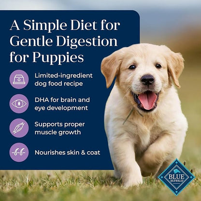 Blue Buffalo Basics Dry Dog Food for Puppies, Skin & Stomach Care, Limited Ingredient Diet for Dogs, Turkey Recipe, 11-lb. Bag