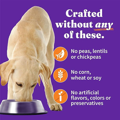 Halo Elevate Wet Dog Food, Kettle Cooked Chunky Healthy Grains Chicken Stew with Carrots, Pumpkin & Brown Rice, 12.7oz (Pack of 6)