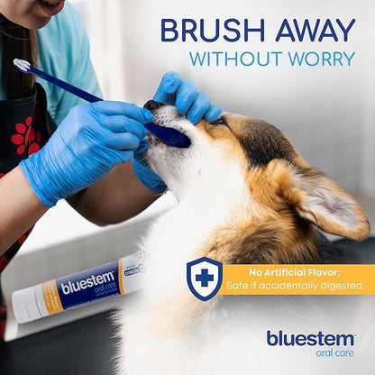 Bluestem Dog & Cat Toothbrush and Toothpaste Kit - Dog and Cat Toothpaste with Coactiv+ Technology to Reduce Tartar Buildup - Sticky and Long-Lasting Cat and Dog Toothpaste - Chicken Flavor