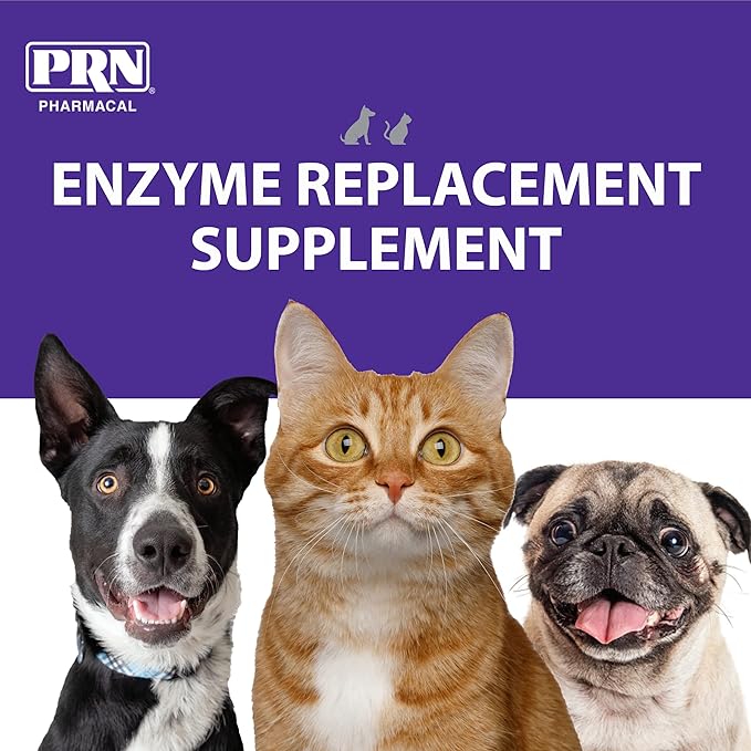 PRN Pharmacal ProZyme Original Formula Enzyme Replacement Supplement - Reinforces Animal's Digestive System, Supports Dog & Cat Food Breakdown - Promotes Pet's Digestive Health - 85 g, 3 Oz Bottle