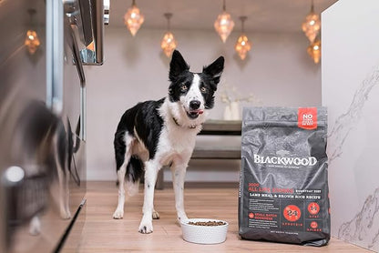 Blackwood Dog Food Made in USA Slow Cooked Dry Dog Food [Natural Dog Food For All Breeds and Sizes], Lamb Meal & Brown Rice Recipe, Resealable Bag To Preserve Freshness 30 Pound (Pack of 1)