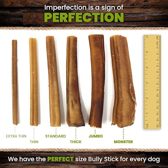 Sancho & Lola's Bully Sticks for Dogs Standard (10 Count) - High-Protein Beef Pizzle Dog Chews - No Antibiotics, No Growth Hormones, Hand-Selected and Inspected in the USA