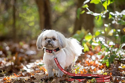 Pets First NHL Washington Capitals Leash for Dogs & Cats, Walk Cute & Stylish! The Ultimate Hockey Fan Leash!, large (6 ft long x 1 in width) (CAP-3031-LG)
