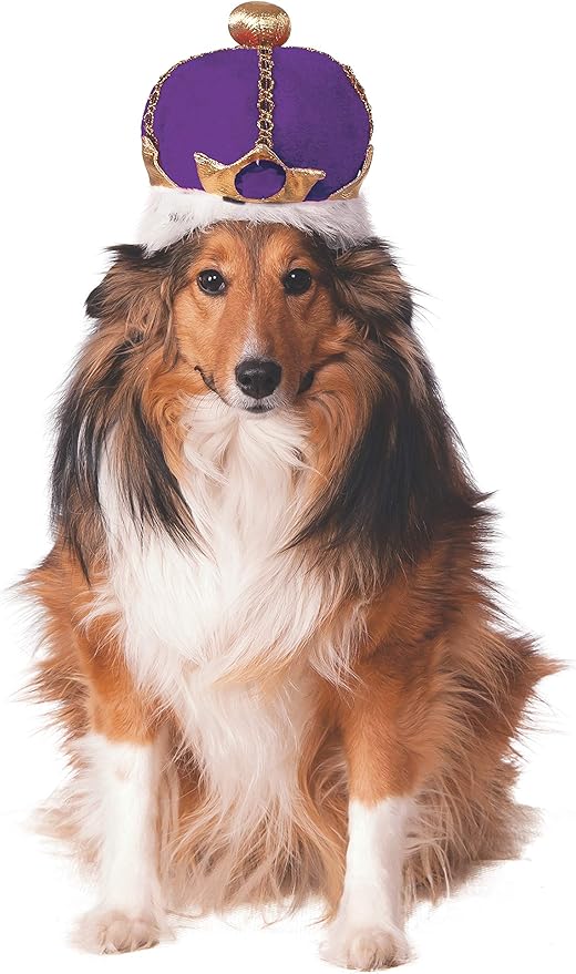 Rubie's Costume Co Mardi Gras King's Crown for Pets, Small/Medium, Purple