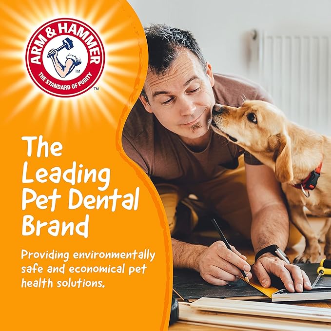 Arm & Hammer for Pets Chew Tools Collection: Wood Blend Paintbrush Chew Toy for Dogs | Compressed Wood Dog Chew Toys with Baking Soda, Safer & Durable Alternative to Chewing Sticks 7.5 Inch