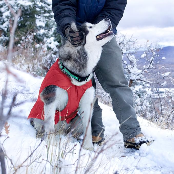 Kurgo Loft Dog Jacket, Reversible Dog Coat, Wear with Harness or Sweater, Water Resistant, Reflective, Winter Coat for Medium Dogs (Chili Red, M)