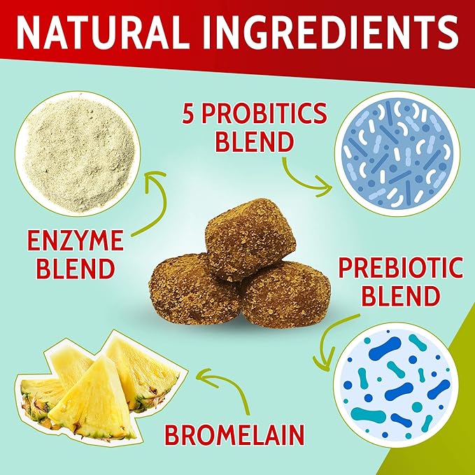 Dog Probiotics and Digestive Enzymes - Seasonal Allergy Support - Dog Gut Health Probiotics + Prebiotics for Dogs Digestive Health - Prevents Grass Burns
