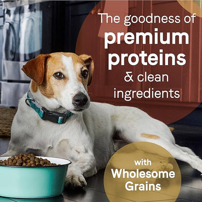 CANIDAE Pure Grain Free Adult Dry Dog Food, Real Salmon & Barley, 22 lbs.