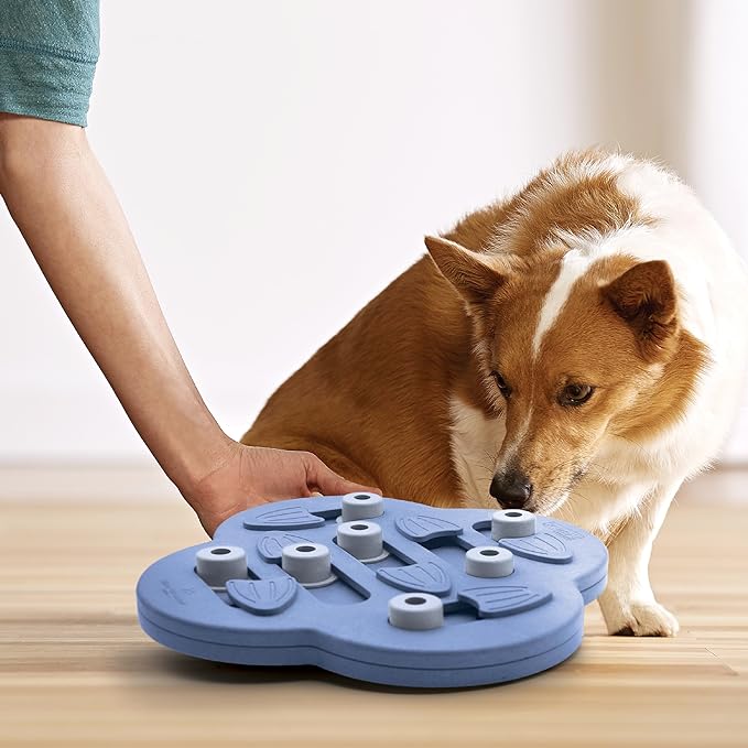 Outward Hound Nina Ottosson Dog Hide N' Slide Dog Puzzle Interactive Treat Puzzle Dog Enrichment Dog Toy, Level 2 Intermediate, Purple, Composite