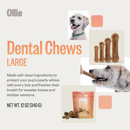 Ollie Dental Chews for Dogs Large- Dog Breath Treats - Dog Teeth Cleaning Treat - Dental Sticks for Dogs - Fresh Breath for Dogs - Dog Dental Chews - Dog Dental Care - 4 Large Pack