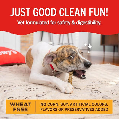 Stella & Chewy's Dental Delights with Freeze-Dried Chicken - Large Dental Treats for Dogs, Single Serve