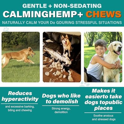 Hemp Calming Chews for Dogs 110 Count, Chicken Flavor Dog Calming Treats, Helps with Dog Anxiety, Separation, Barking, Stress Relief, Melatonin for Dogs, Sleep Calming Aid, for All Breeds & Sizes