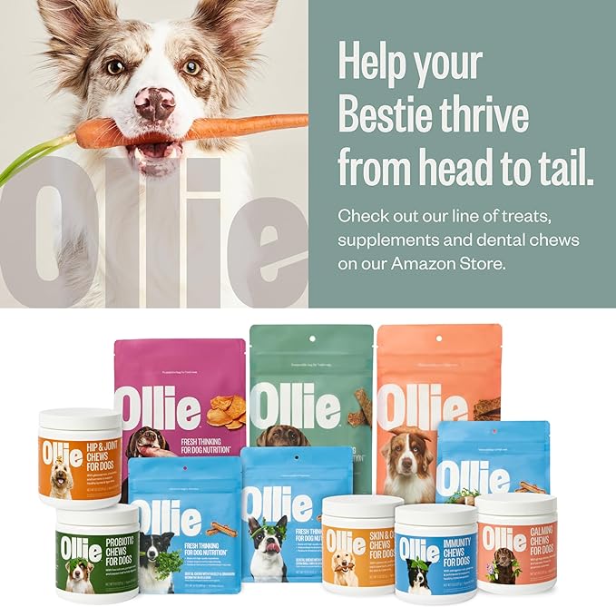 Ollie Chicken and Apple Recipe Jerky Dog Treats - Dog Jerky Treats All Natural - Healthy Dog Treats - Chicken Jerky for Dogs - Real Meat Dog Treats 15 Oz.