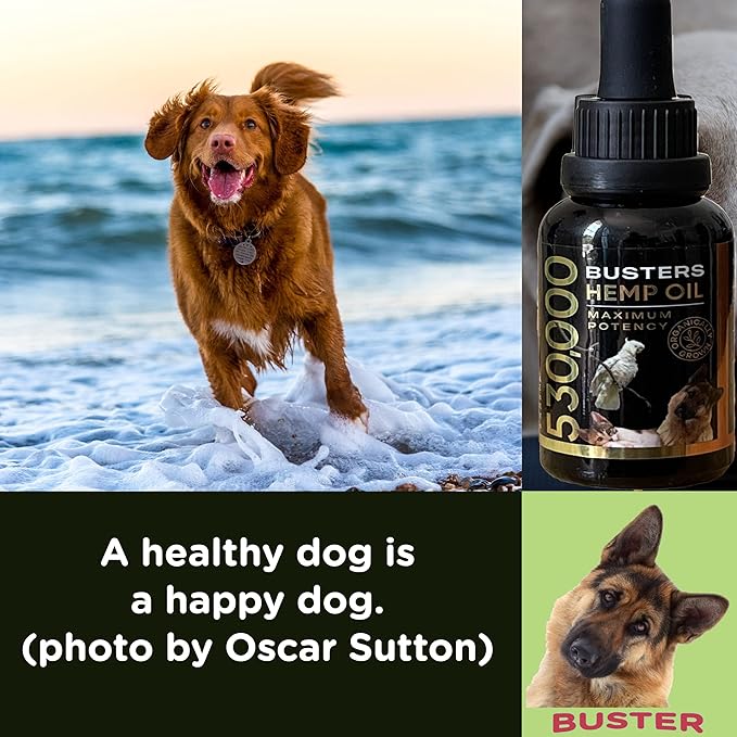 Buster's Organic Hemp Oil 530,000 2-pack 2-month supply for Dogs & Cats - Max Potency - Made in USA - Omega Rich 3, 6 & 9 - Hip & Joint Health, Natural Relief for Pain, Separation Anxiety