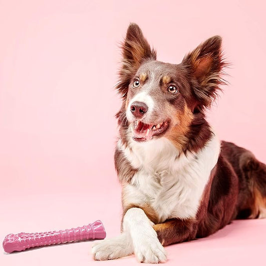 Nylabone Power Chew Breast Cancer Awareness Femur Bone Chew Toy for Dogs, Indestructible Dog Toys for Aggressive Chewers, Chicken Flavor, X-Large/Souper (1 Count)