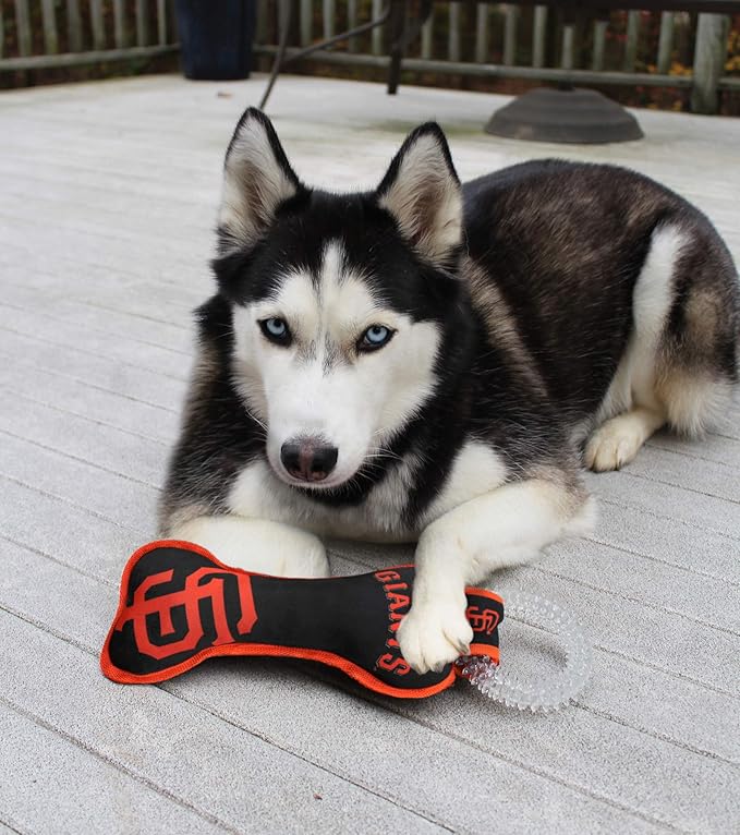 MLB San Francisco Giants Bone Shaped DENTAL DOG TUG TOY with SQUEAKER. TOUGH PET TOY for Healthy Fun, Teething, and Cleaning pet's teeth and gum.