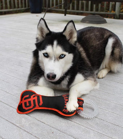 MLB San Francisco Giants Bone Shaped DENTAL DOG TUG TOY with SQUEAKER. TOUGH PET TOY for Healthy Fun, Teething, and Cleaning pet's teeth and gum.
