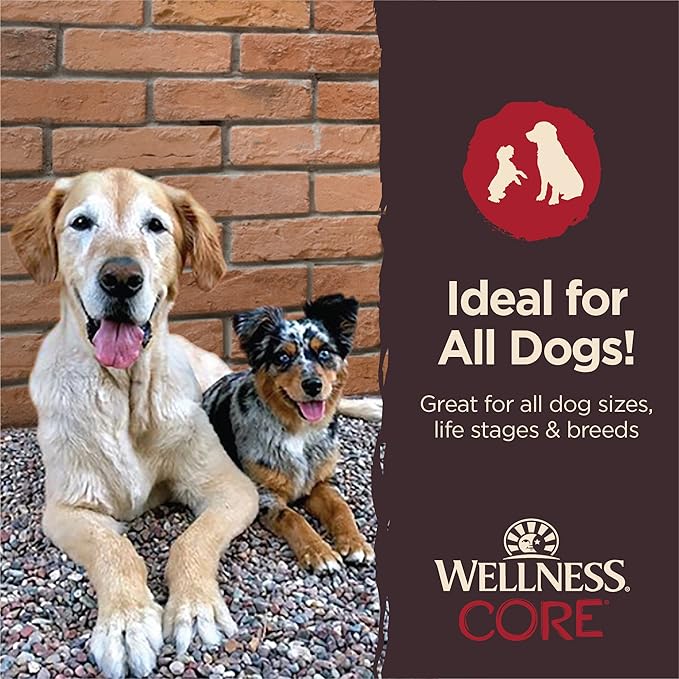 Wellness CORE Power Packed Dog Treats (Previously Pure Rewards), Grain-Free Tender Jerky Treats, Made in USA (Beef Recipe, 4-Ounce Bag)