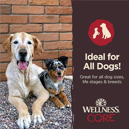 Wellness CORE Power Packed Dog Treats (Previously Pure Rewards), Grain-Free Tender Jerky Treats, Made in USA (Beef Recipe, 4-Ounce Bag) (Pack of 2)