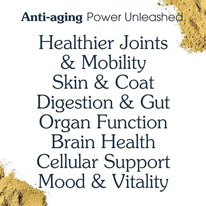 All-in-One Dog Supplement for Wellness and Longevity, 63 Ingredients for Joints, Cognition, Mood, Skin, Gut and Organ Health, Small Breeds, Vet-Formulated, Made in USA, Senior Formula for 8+ Years