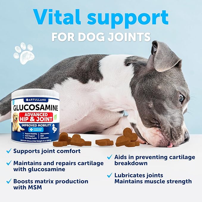 Glucosamine for Dogs - Hip and Joint Supplement for Dogs - Glucosamine Chondroitin For Dogs, Turmeric, MSM - Dog Glucosamine Support - Dog Joint Pain Relief Health - Mobility Treats - 120 Chews