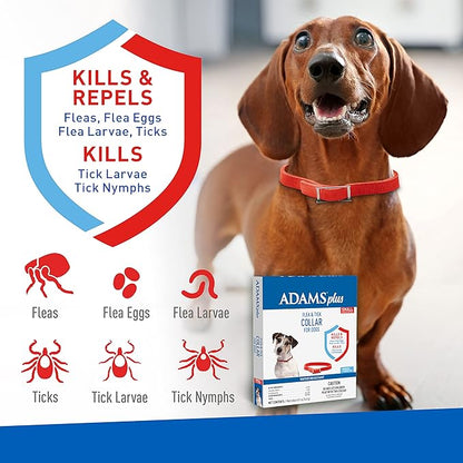 Adams Plus Flea & Tick Collar for Dogs, 7-Month Protection, Adjustable Collar Fits Small Dogs & Puppies, Kills & Repels Fleas, Flea Eggs, Flea Larvae, and Ticks, Kills Tick Larvae and Tick Nymphs