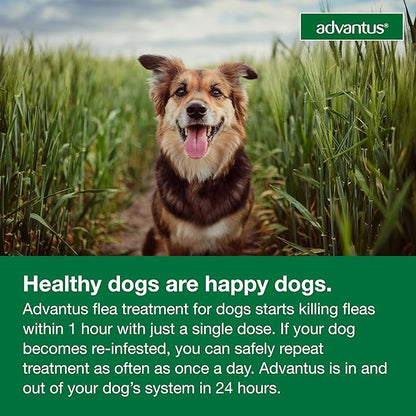 Dog Advantus Chewable Flea Treatment for Dogs 4 - 22 lbs. | 30 ct.