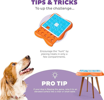 Outward Hound Nina Ottosson Challenge Slider Interactive Treat Puzzle Dog Enrichment Toy, Level 3 Advanced, Multicolored