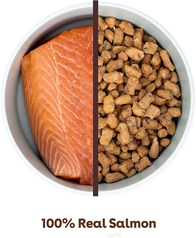 Pupford Freeze Dried Training Treats for Dogs & Puppies, 1400+ Two Ingredient Bites (Salmon, 4 oz, 3 Pack)