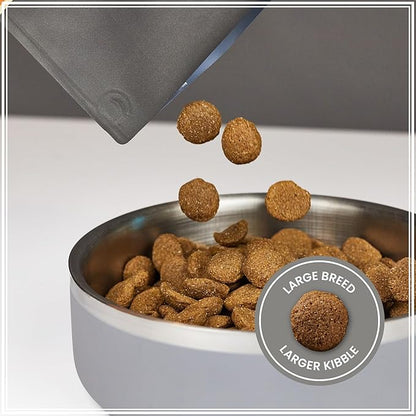 Muenster Ancient Grains Dog Food (22lb) - Large Breed Dry Dog Food for Large Dogs - Gluten Free, Non-GMO High Protein Dog Food - Healthy Digestive Large Breed Dog Kibble