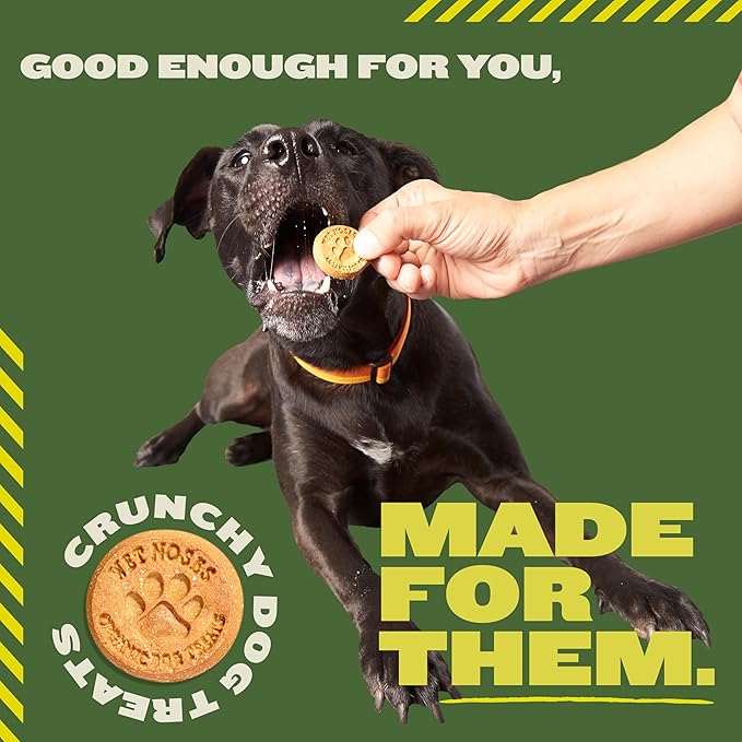Organic Crunchy Dog Treats – for All Pet Sizes, Breeds – All-Natural Puppy Treat, Senior Dog Snack – 100% Human-Grade – Delicious Chews for Dogs – Grain-Free Peanut Butter & Banana, 5 Lb