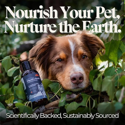 OTIS Digestive Health for Dogs | Ancenstrial and Heritage Probiotics - Intestinal Gut Health Support with DHA and EPA | Healthy Dog Supplements | 8 fl oz, Salmon oil