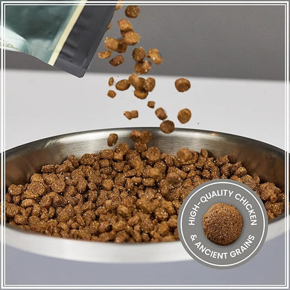 Muenster Ancient Grains Dog Food (22lb) - Chicken Flavored Dry Dog Food for Large Dogs - Gluten Free, Non-GMO High Protein Dog Food - Healthy Digestive Large Breed Dog Kibble