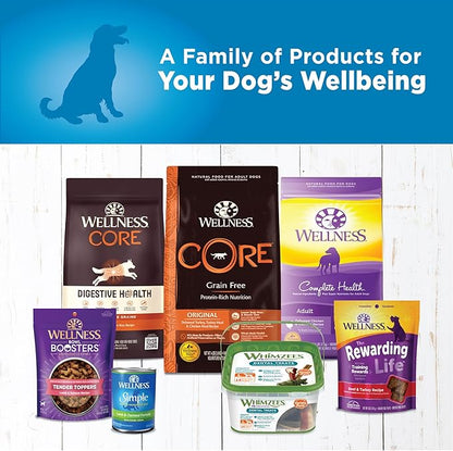 Wellness Simple Natural Wet Canned Limited Ingredient Dog Food, Lamb & Potato, 12.5-Ounce Can (Pack of 12)