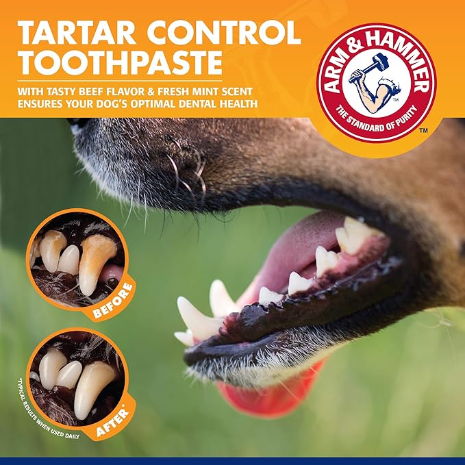 Arm & Hammer for Pets Tartar Control Enzymatic Toothpaste for Dogs Reduces Plaque & Tartar Buildup Safe for Puppies Beef Flavor, 2.5 Ounces Dog Toothpaste (Pack of 72)