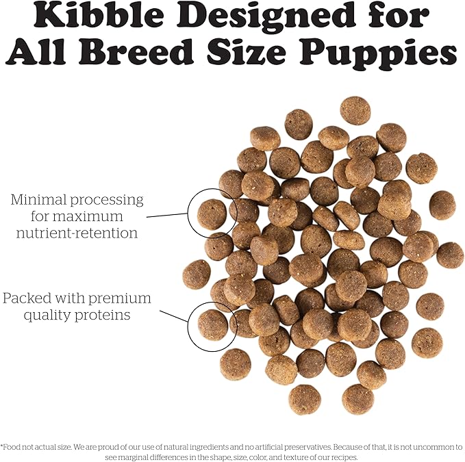 Now Fresh Grain Free Puppy Food, 3.5 lb and Now Fresh Grain Free Adult Dog Food, 22 lb – with Real Meat and Fish for Protein