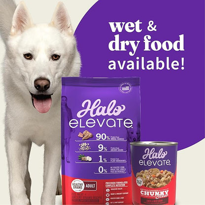 Halo Elevate Wet Dog Food, Kettle Cooked Chunky Healthy Grains Duck & Beef Stew with Carrots, White Potatoes & Brown Rice, 12.7oz (Pack of 6)