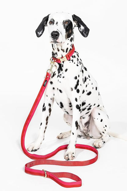 Kate Spade New York 6ft Dog Leash, Heavy Duty Leash for Female or Male Dogs, Cute Pet Leash with Gold Metal Hardware, Long Dog Lead for Medium and Large Breeds (Red and Pink)