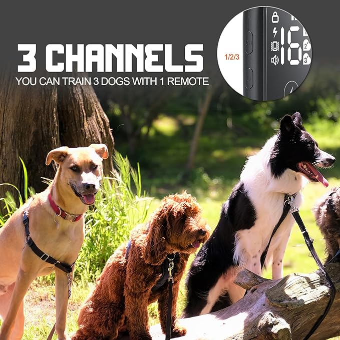 Dog Shock Collar with Remote, 2400ft Waterproof Dog Training Collars 3 Dogs for Large Medium Small Dogs Electric Shockers Collars, Training with Beep Vibration Safe Shock(1-16) Mode